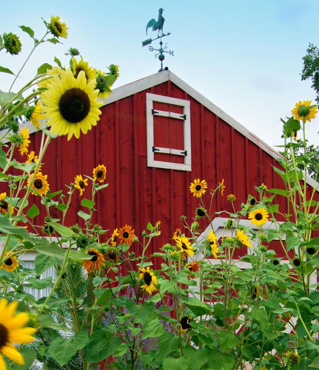 Sunflower Hill Inn โมอาบ ภายนอก รูปภาพ