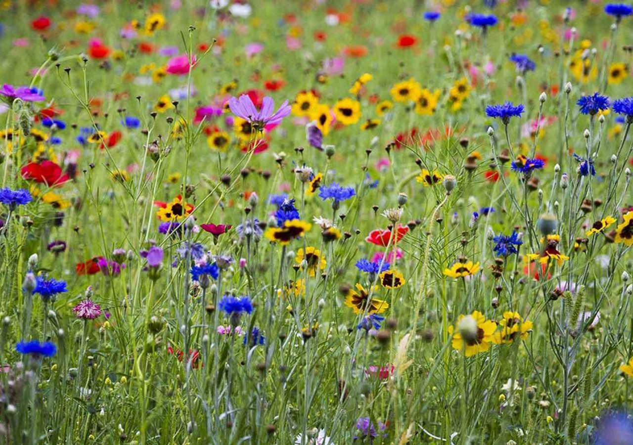 Sunflower Hill Inn โมอาบ ภายนอก รูปภาพ